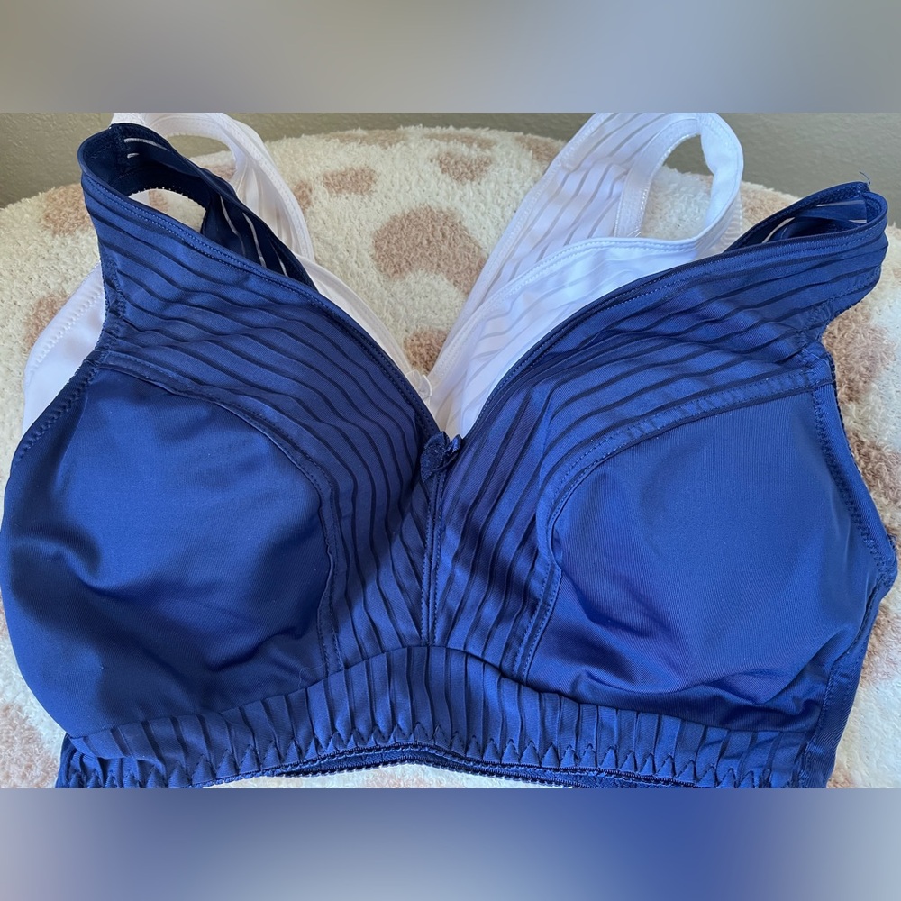 Rhonda Shear 2-pack Striped Pin-Up Bra New Size Medium - Picture 3 of 9
